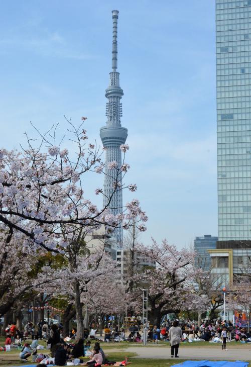 錦糸公園（錦糸四丁目15番1号）