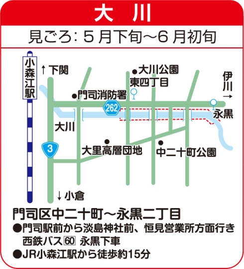 市内のホタル鑑賞地