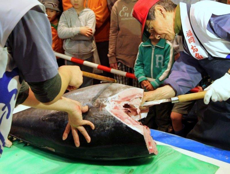 長浜鮮魚市場 市民感謝デー