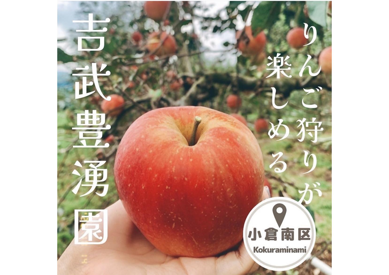 吉武豊湧園