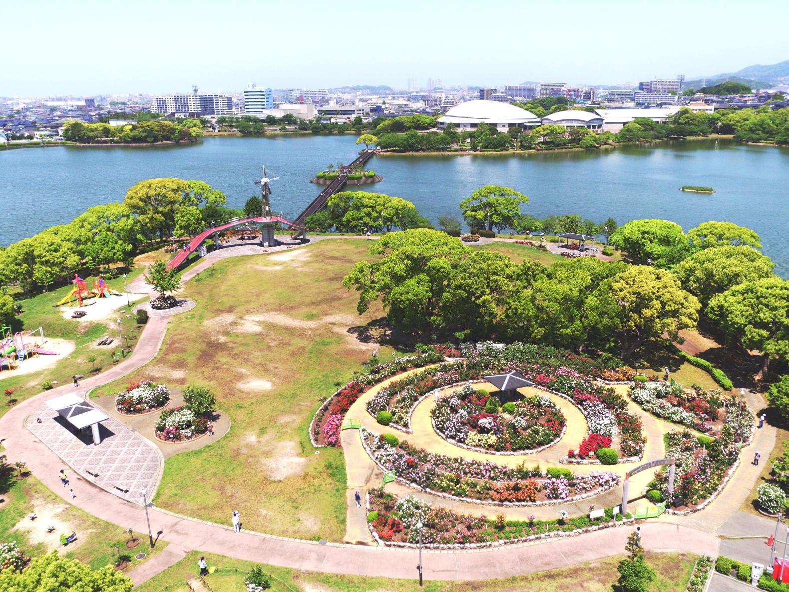 【駕与丁公園】粕屋町バラまつり