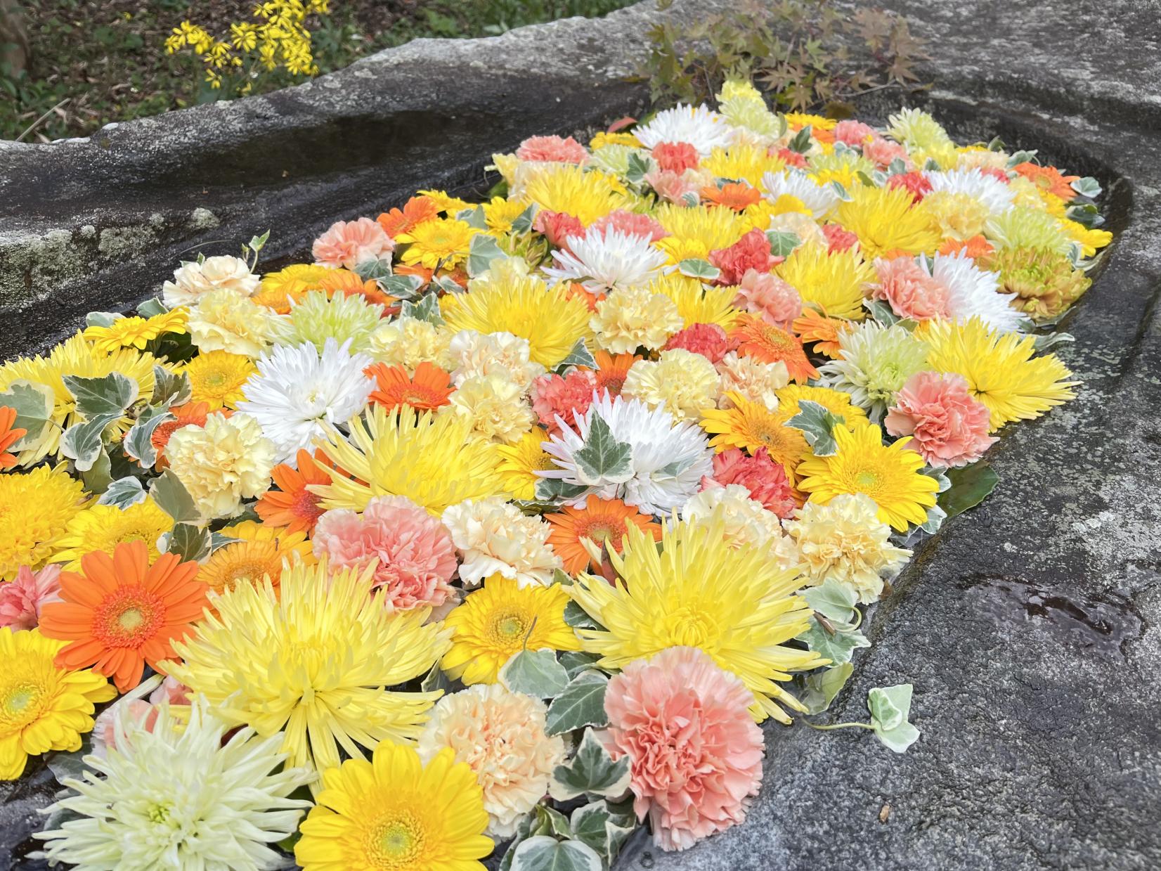 糸島花手水