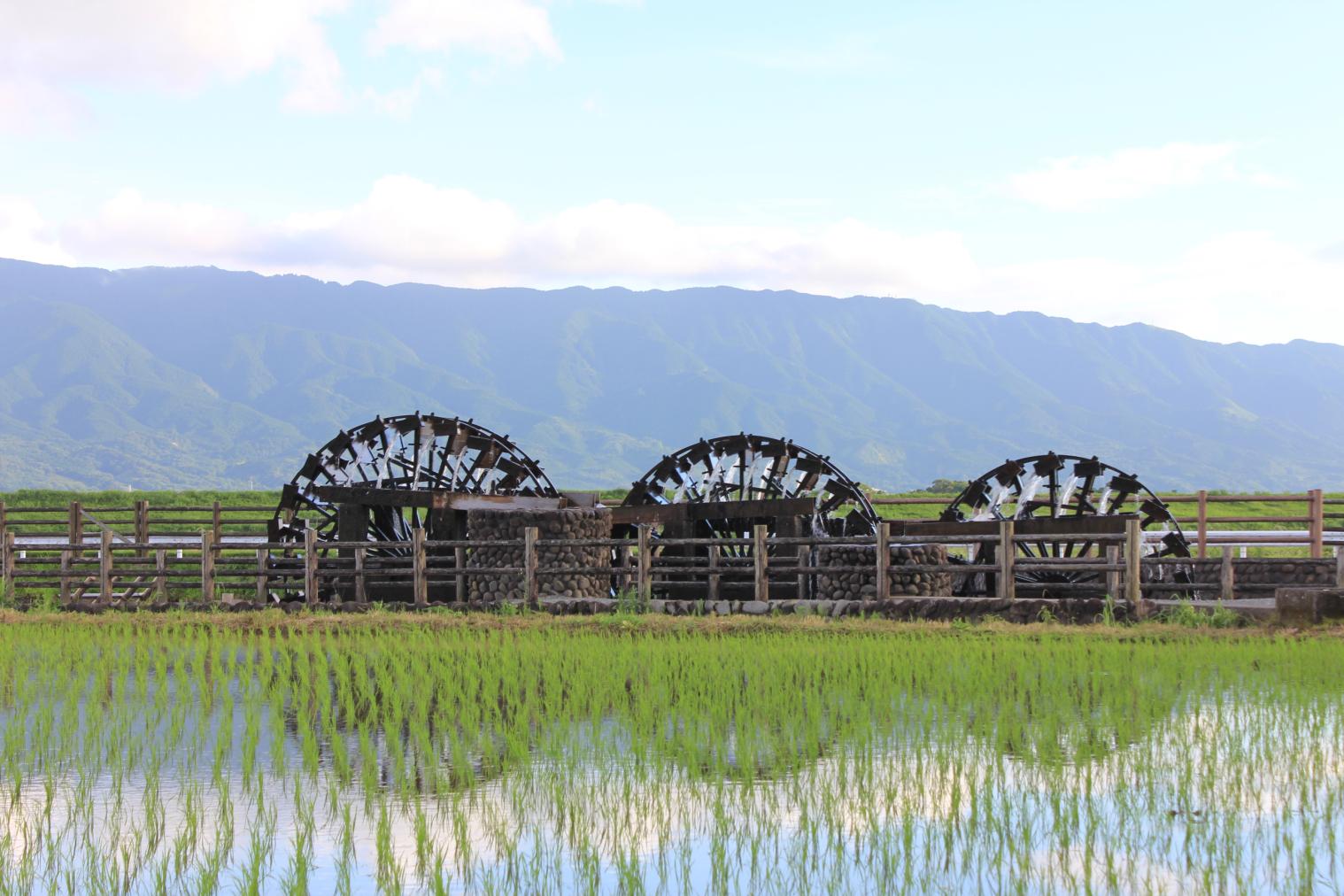 朝倉の三連水車の稼働（山田堰通水式）