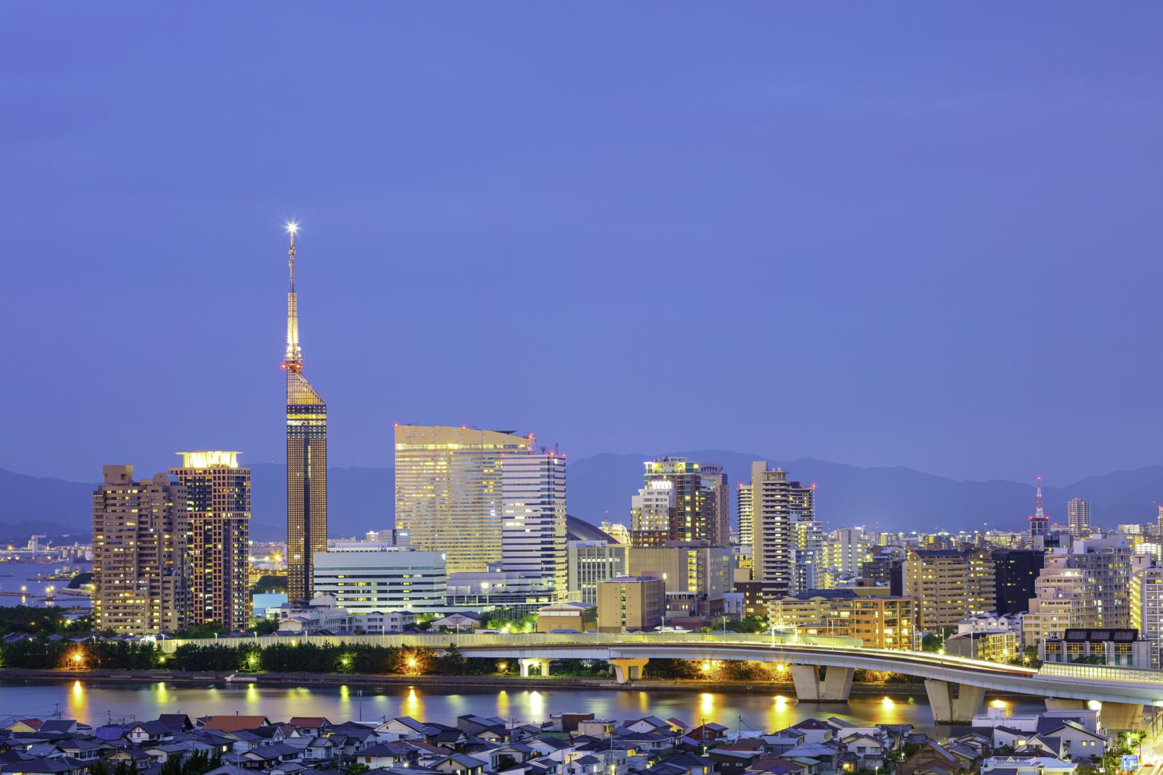水城跡のコスモス