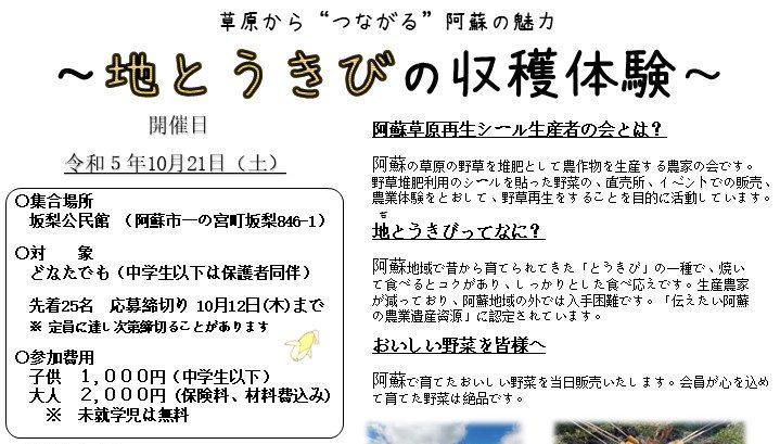【終了】地とうきびの収穫体験【10/21】