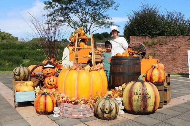 【海の中道海浜公園】ハロウィンフォトスポット