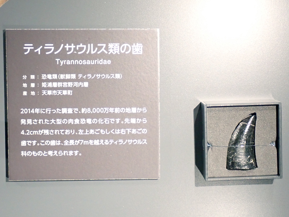 御所浦恐竜の島博物館