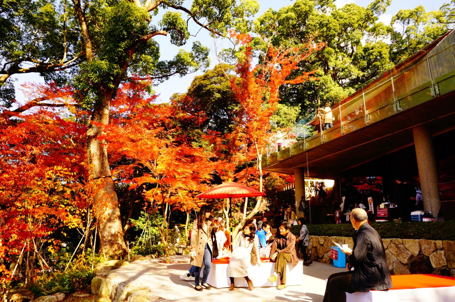 【宝満宮竈門神社】もみじライトアップ