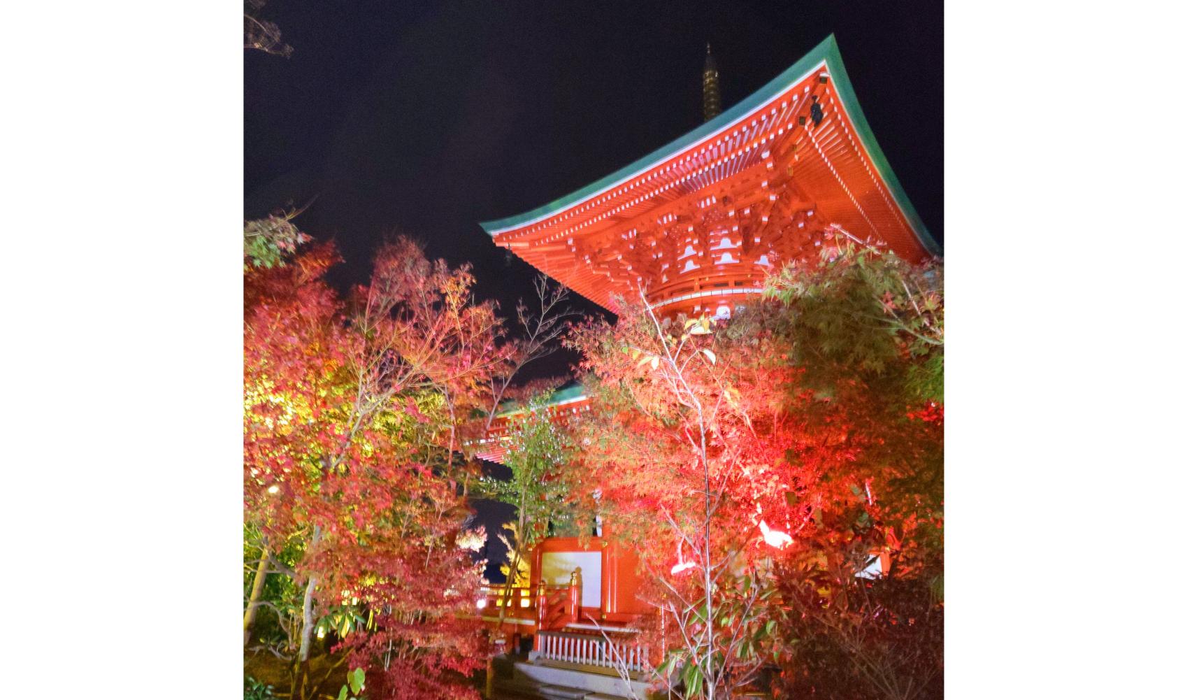 「光と紅葉 楓光会」清影山 如意輪寺（かえる寺）
