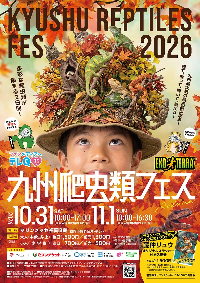 食とカワイイが天神に集結。お財布にやさしい秋まつり「太陽カーニバル×カメリアミュージックステージ」