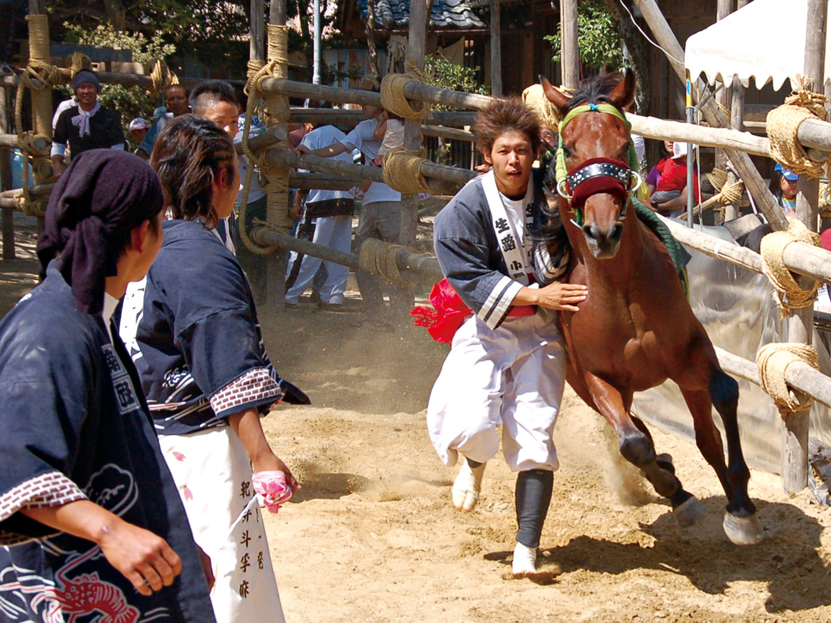おまんと祭り(駆け馬)