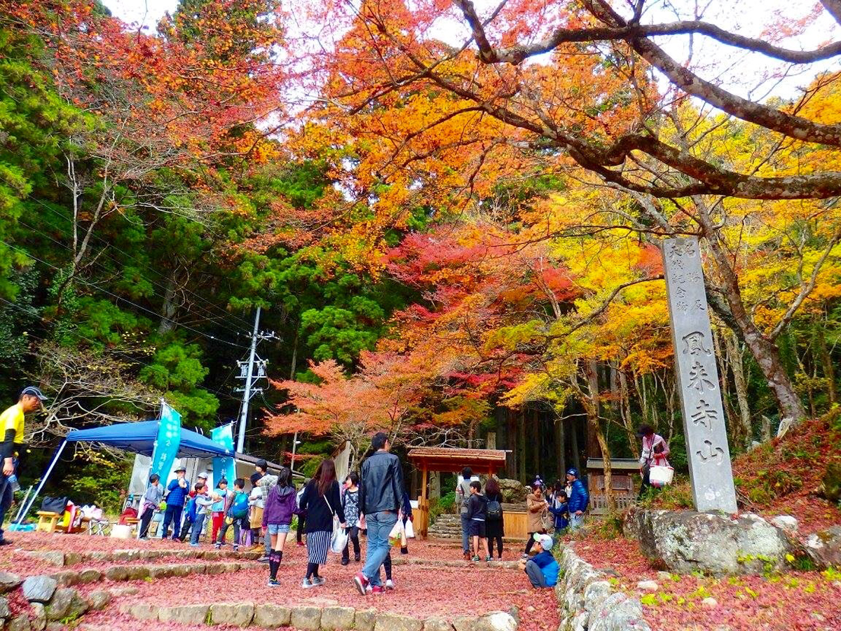 令和8年 鳳来寺山もみじまつり