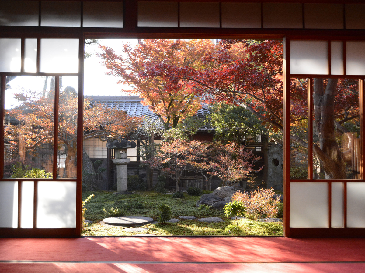 紅葉のおもてなし