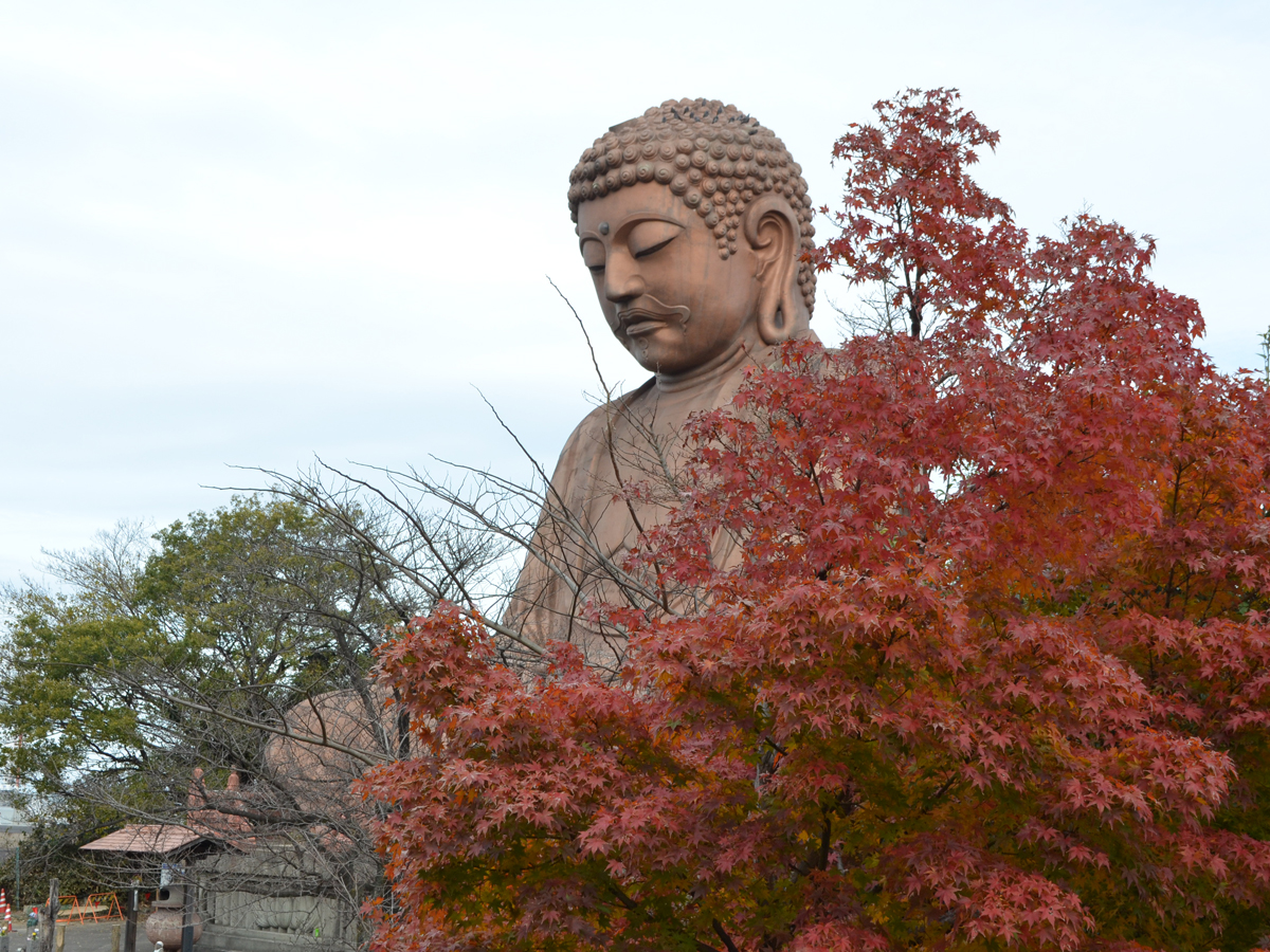 聚楽園公園 もみじまつり