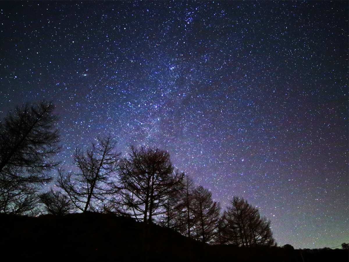 茶臼山高原 星空観察「てんくう」