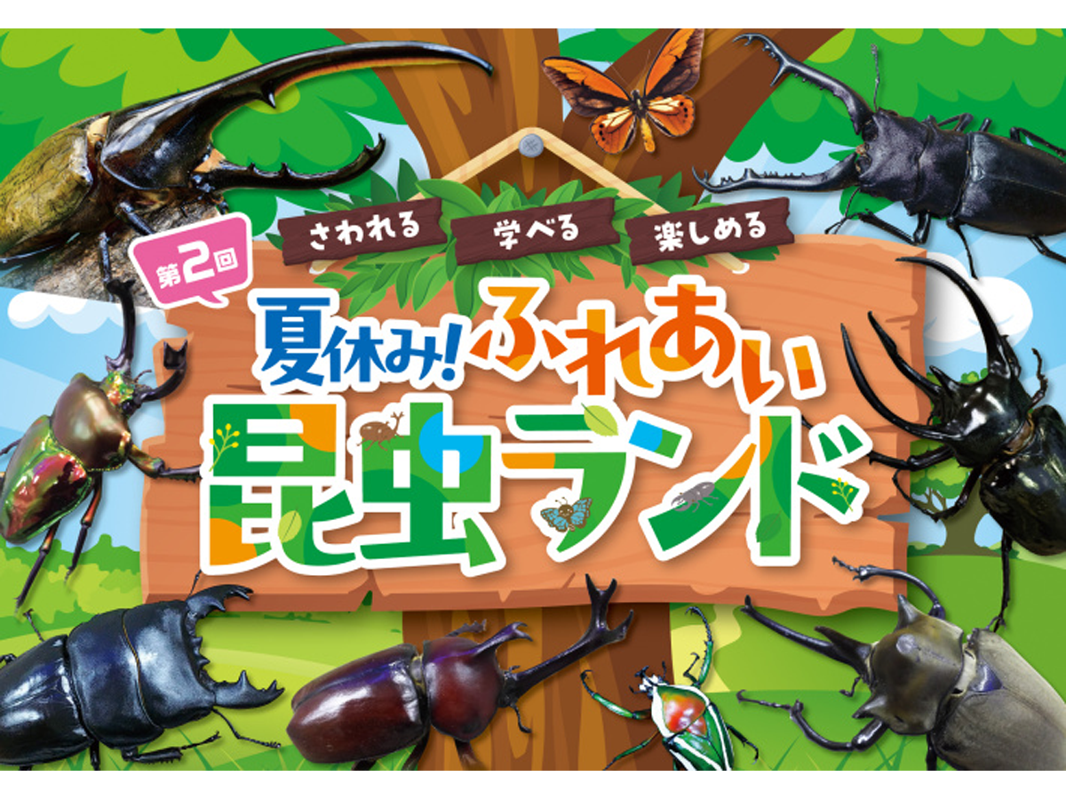 第2回 夏休み！ふれあい昆虫ランド