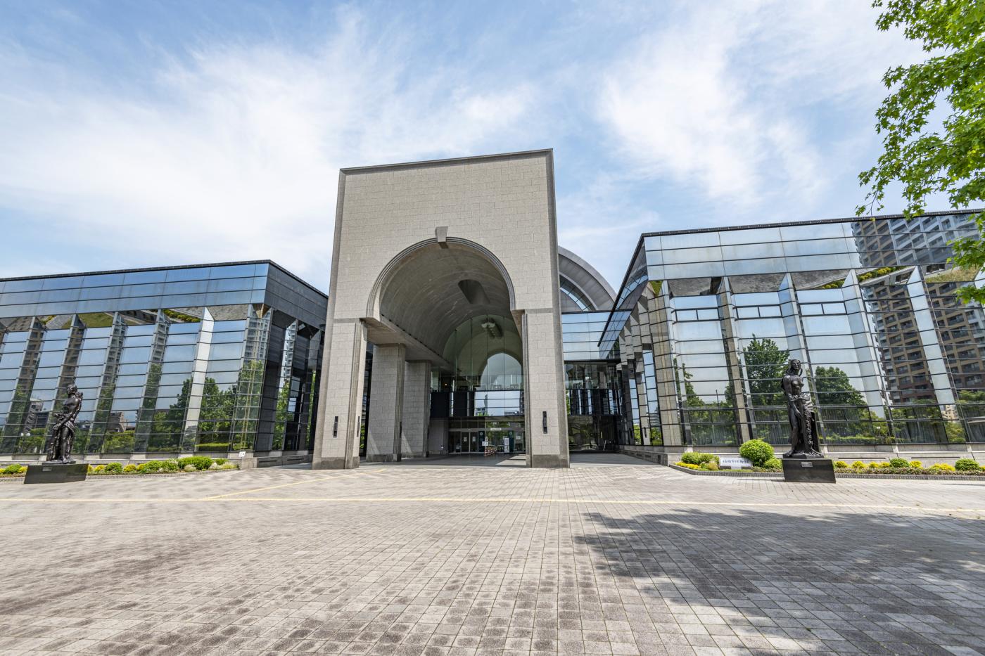 水巻町 遠賀川河川敷のコスモス園