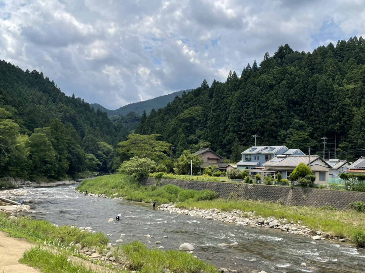 寒狭川上流 あゆ釣り解禁