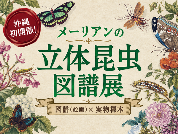 メーリアンの立体昆虫図譜展