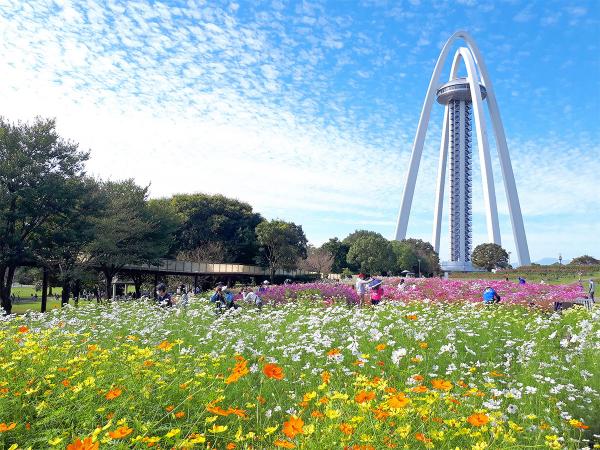 138タワーパーク「オータムフェスタ」