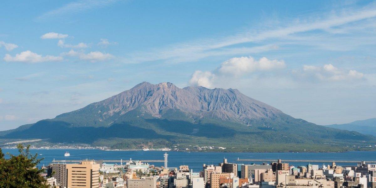 秋の木市