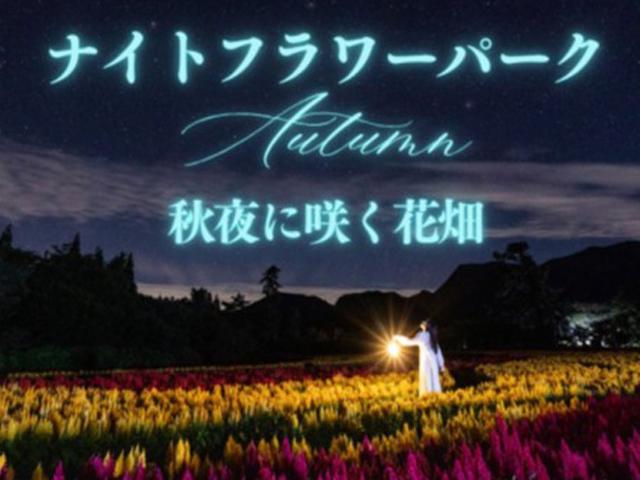 くじゅう花公園「ナイトフラワーパークAutumn ～秋夜に咲く花畑～」