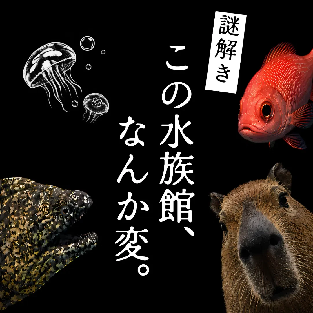 謎解き この水族館、なんか変。