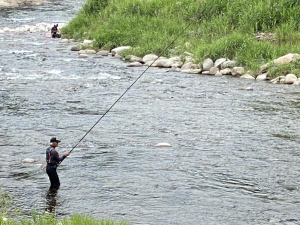 寒狭川上流 あゆ釣り解禁