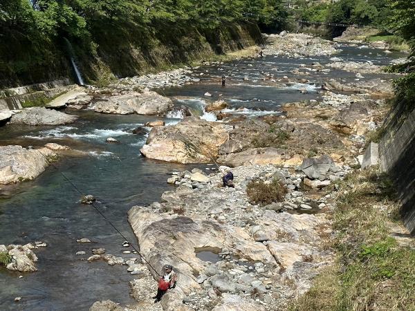 愛知のてっぺん大入川 あまご釣り解禁