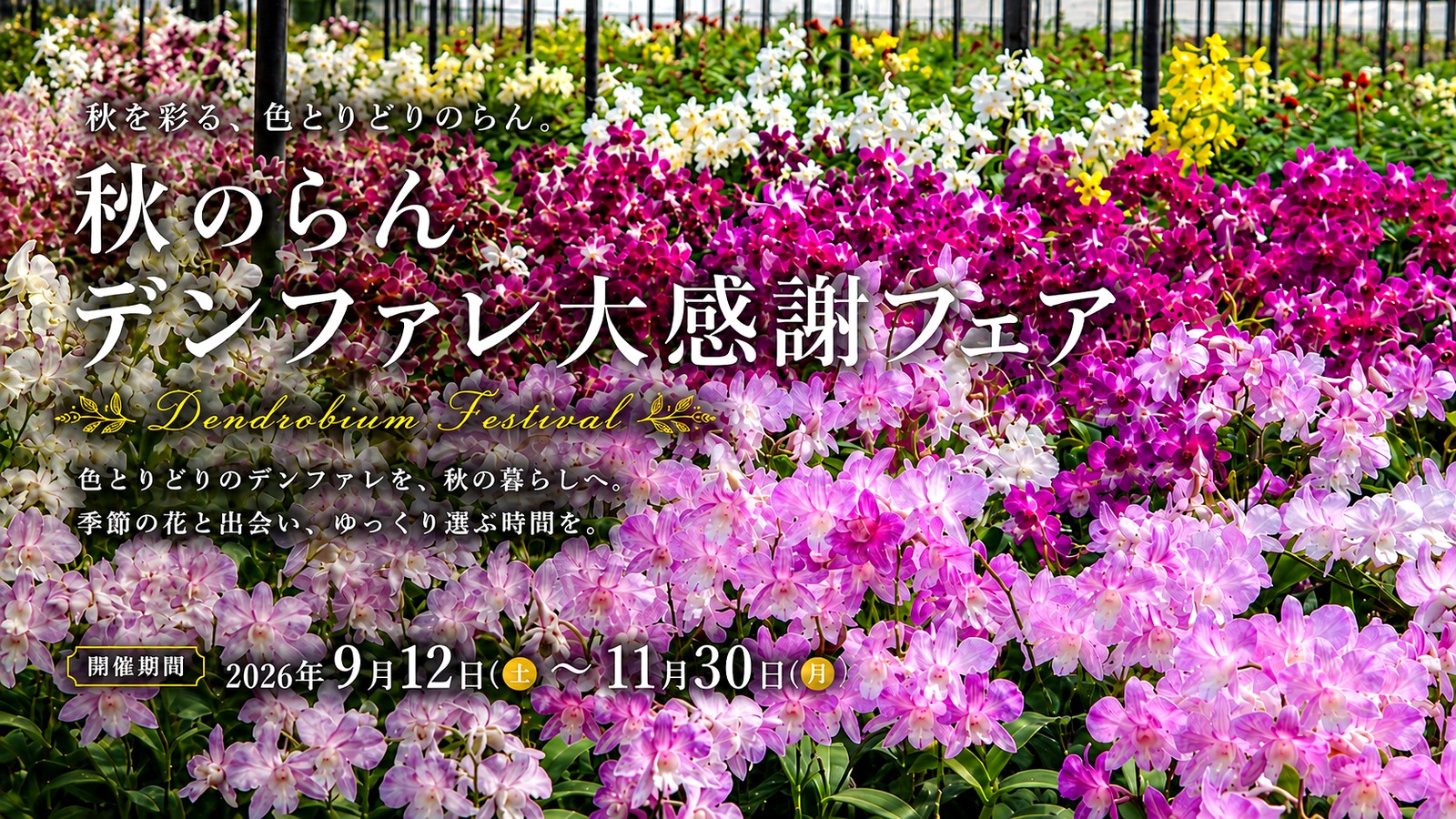 ビオスの丘 らんの花祭り 秋