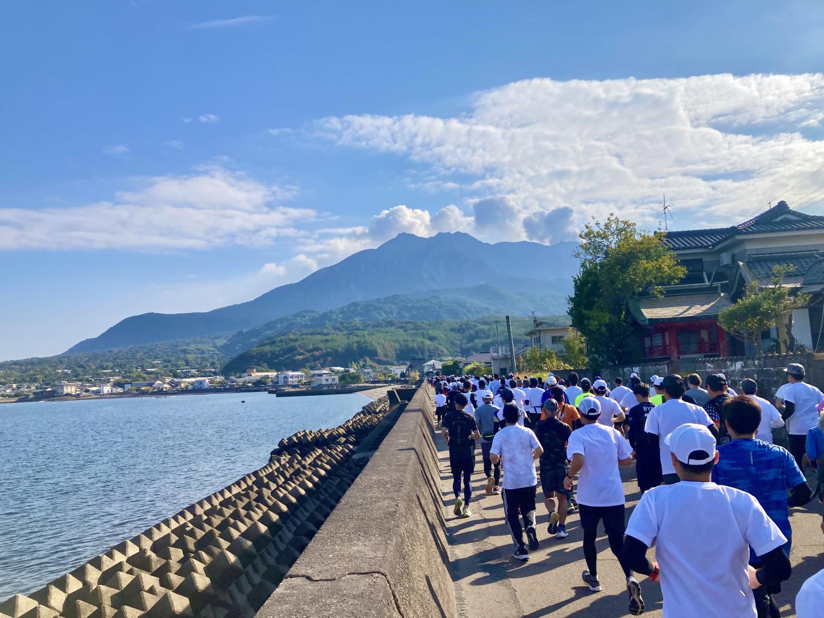 2026 第46回ランニング桜島大会