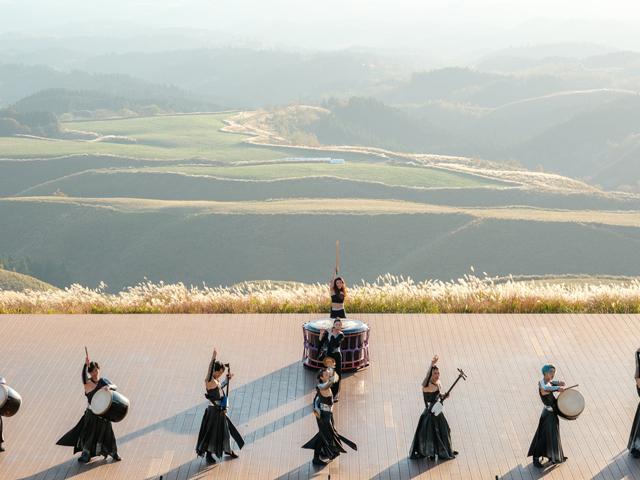 2026年 TAOの丘 秋の感謝祭