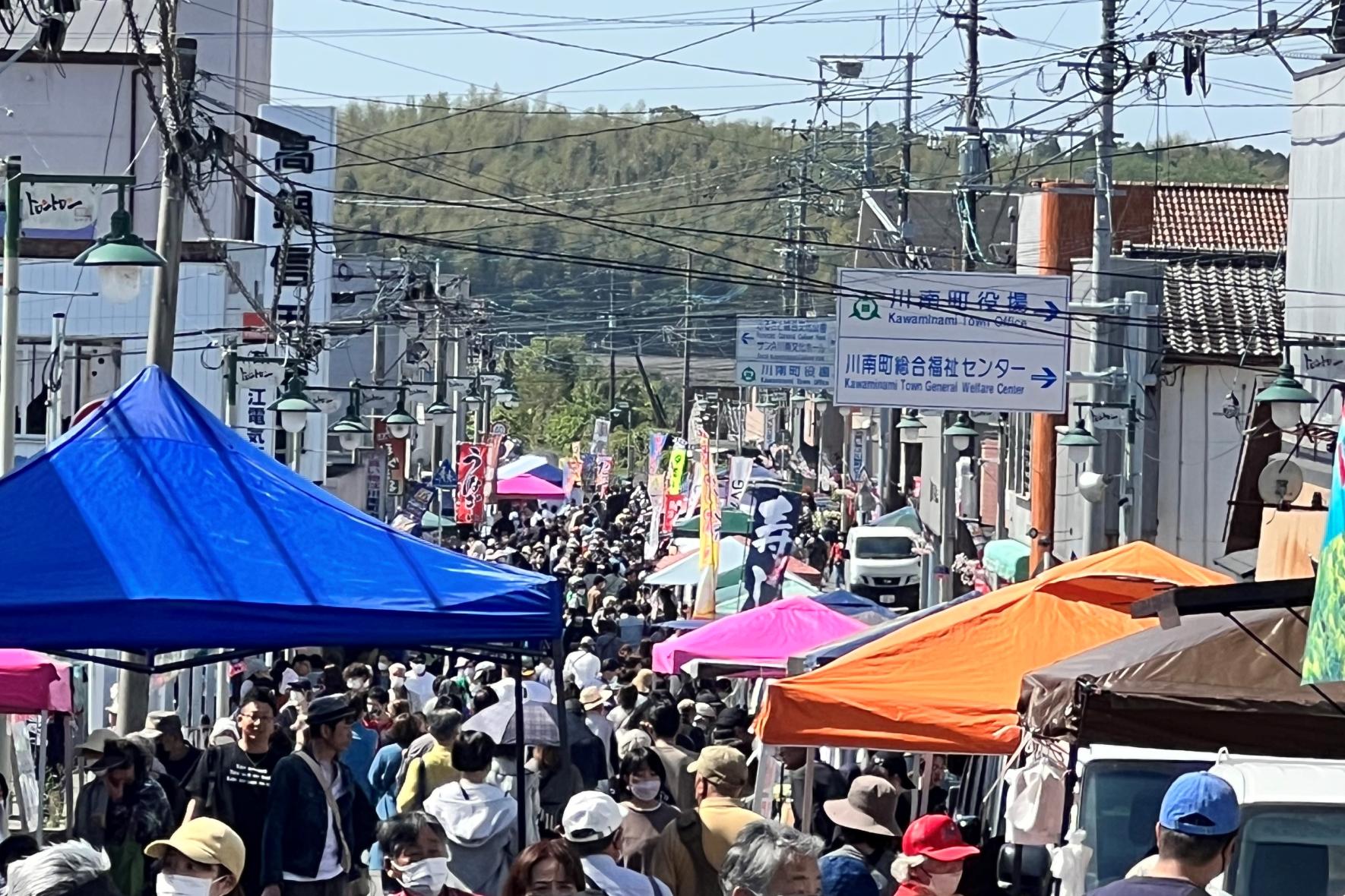 【毎月第4日曜】定期朝市 トロントロン軽トラ市