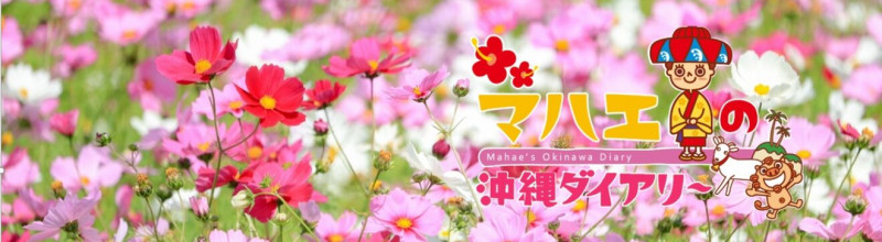 2026年度 かりゆしビーチ営業期間および営業時間のお知らせ