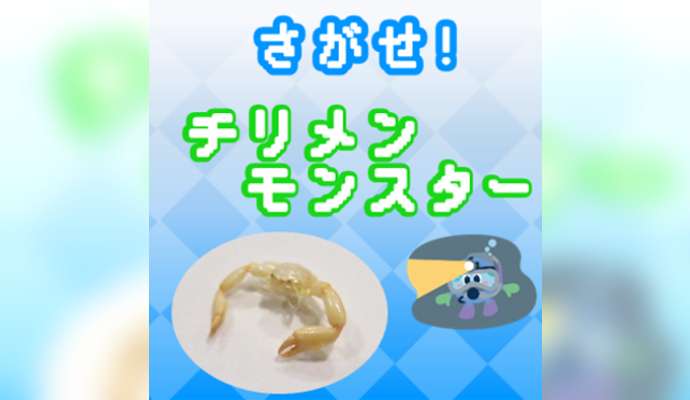夏休み☆実験・工作ワークショップ 「さがせ！チリメンモンスター」＜東京都虹の下水道館＞