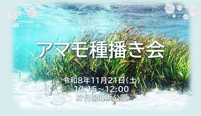 東京港藻場創出活動：アマモ種播き会 ＜お台場海浜公園＞