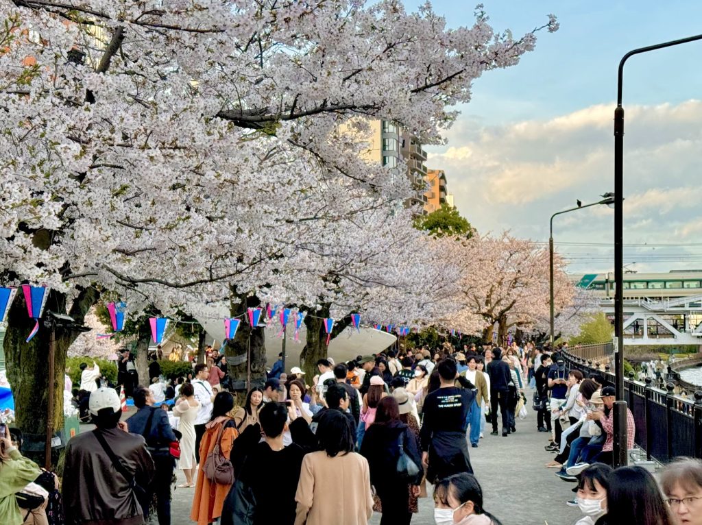 隅田公園「桜まつり」