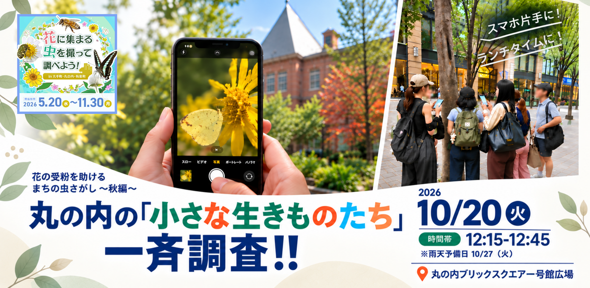 丸の内の「小さな生きものたち」一斉調査！！花の受粉を助けるまちの虫さがし～秋編～