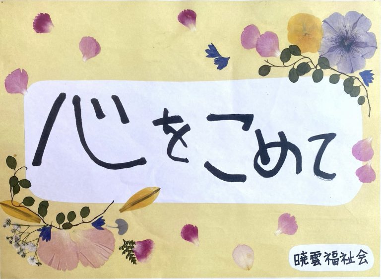 色鮮やかな押し花作品や本格ピッツァ焼き体験をお楽しみください。