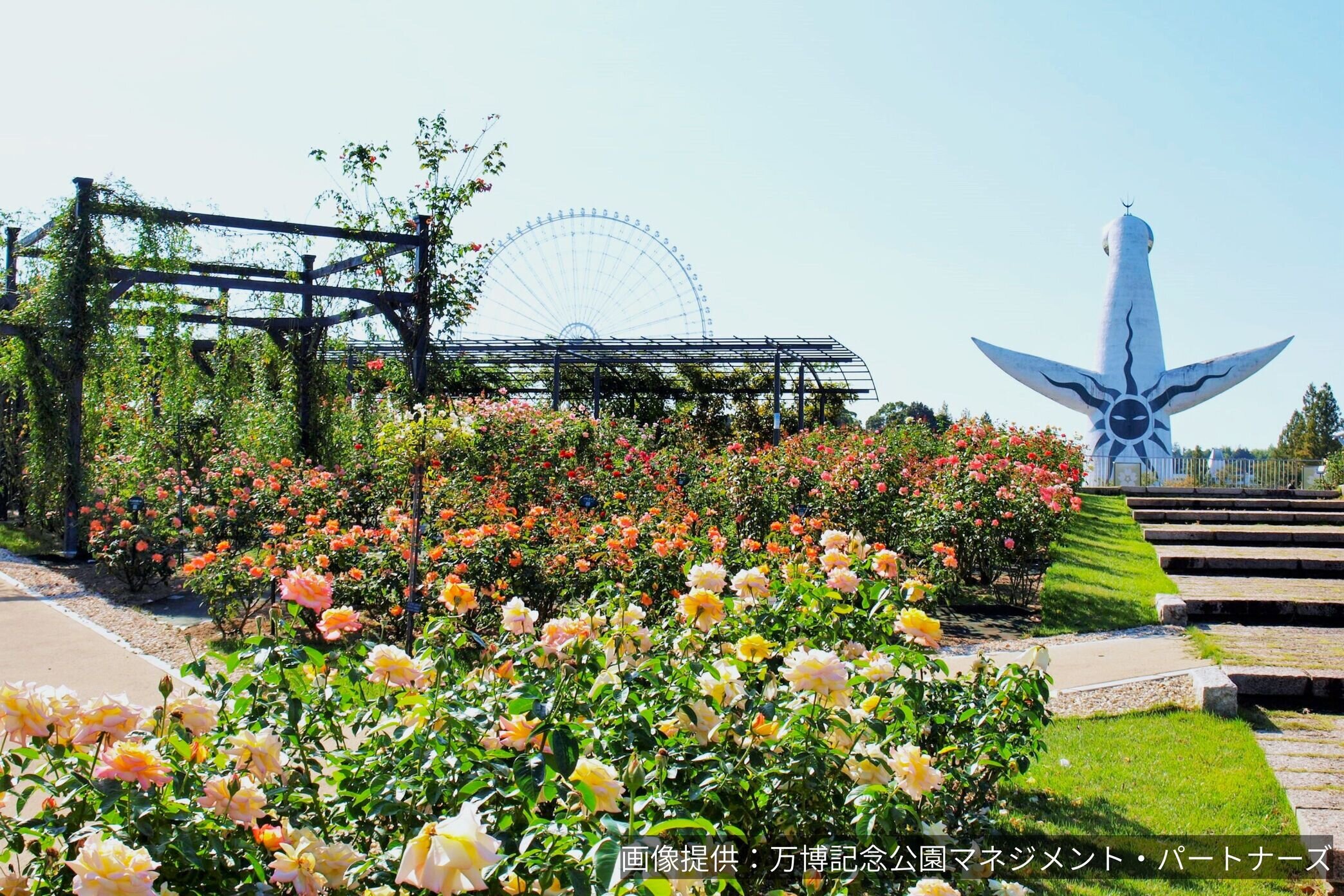 Expo Commemorative Park Autumn Rose Festival