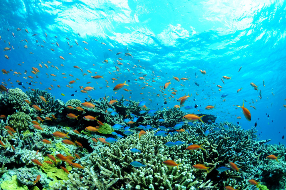 qian senotowairaitokara man tianno xinghe「utsuroi jue jingdina」