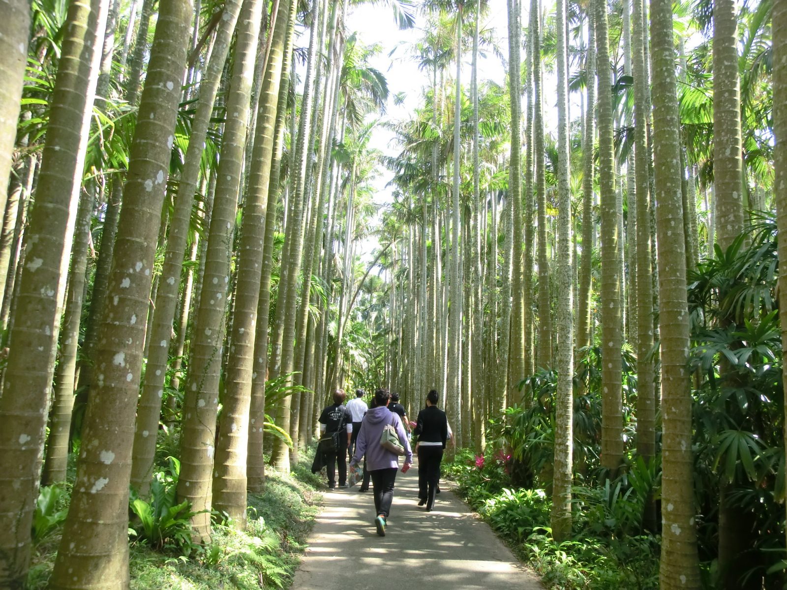 東南植物楽園
