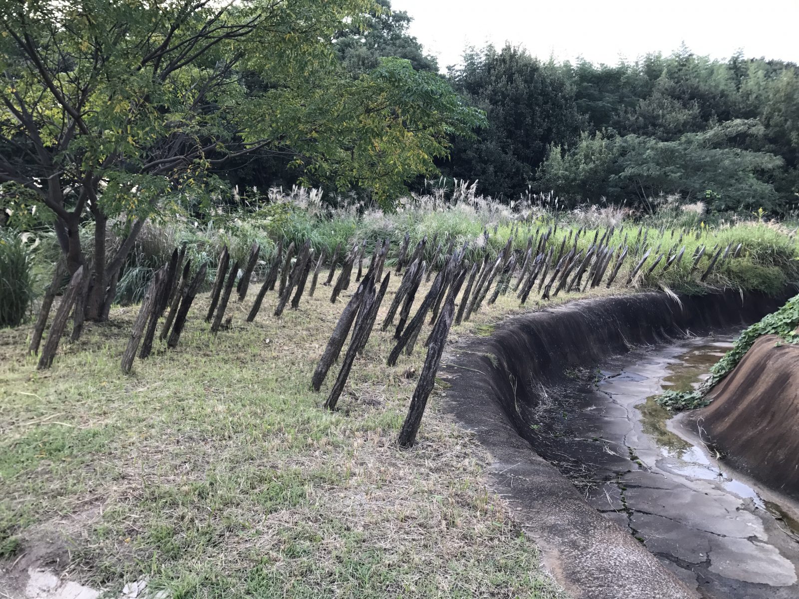 吉野ヶ里歴史公園